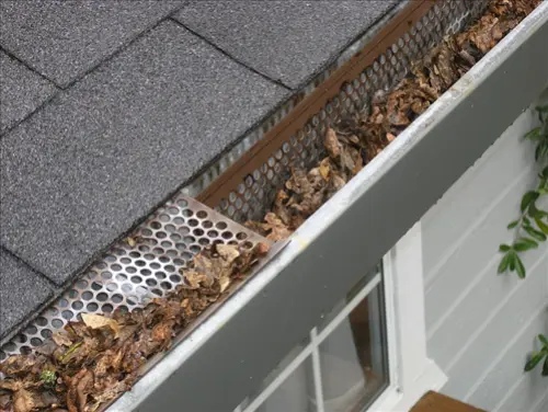Gutter-Cleaning-And-Maintenance-Services--in-Arlington-Texas-gutter-cleaning-and-maintenance-services-arlington-texas.jpg-image